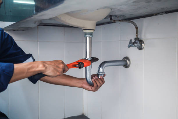 Best Commercial Plumbing Services  in Elwood, IN